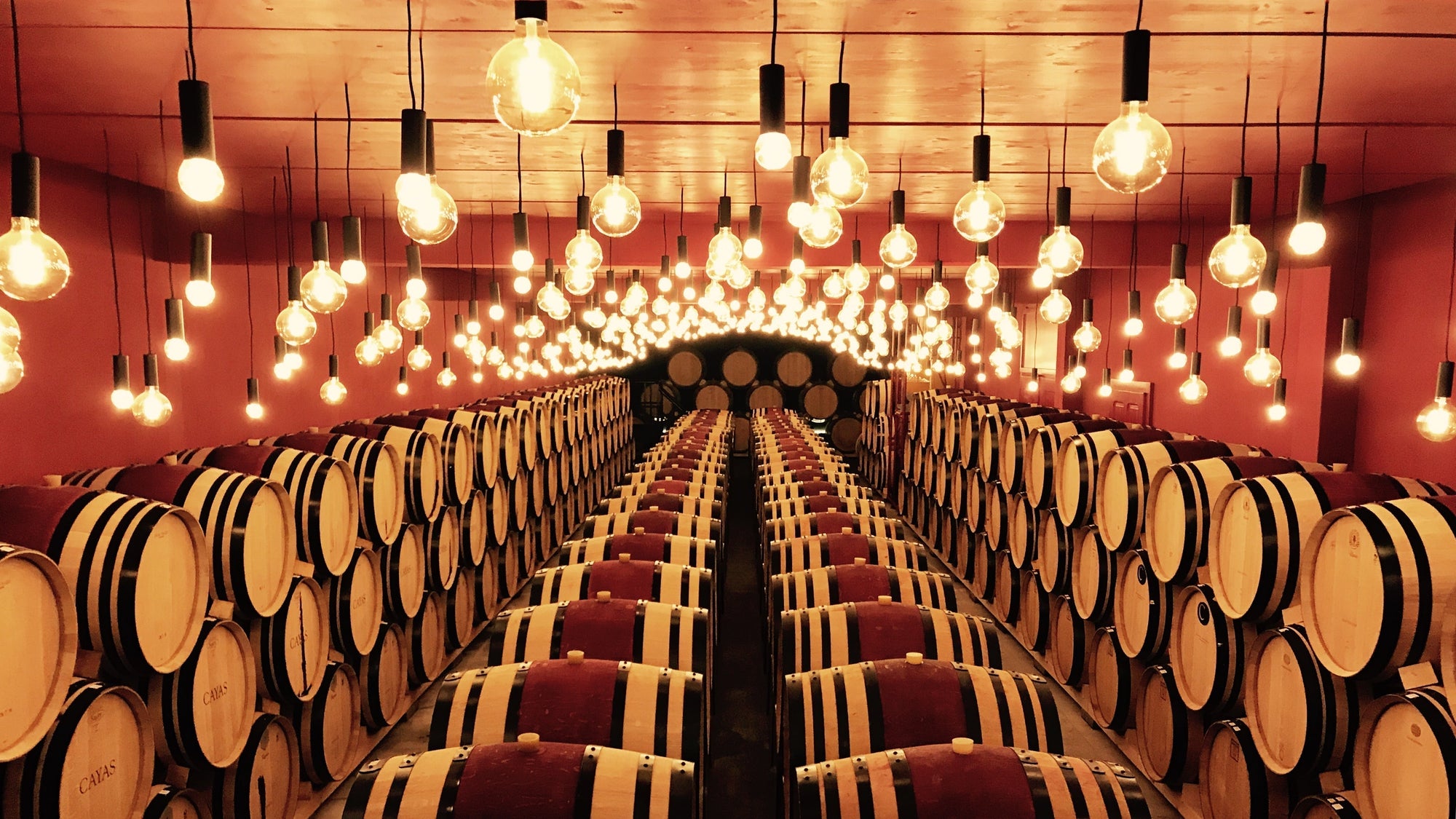 Caves Ouvertes des Vins du Valais 2025