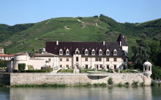 Syrah du Monde Château d'Ampuis