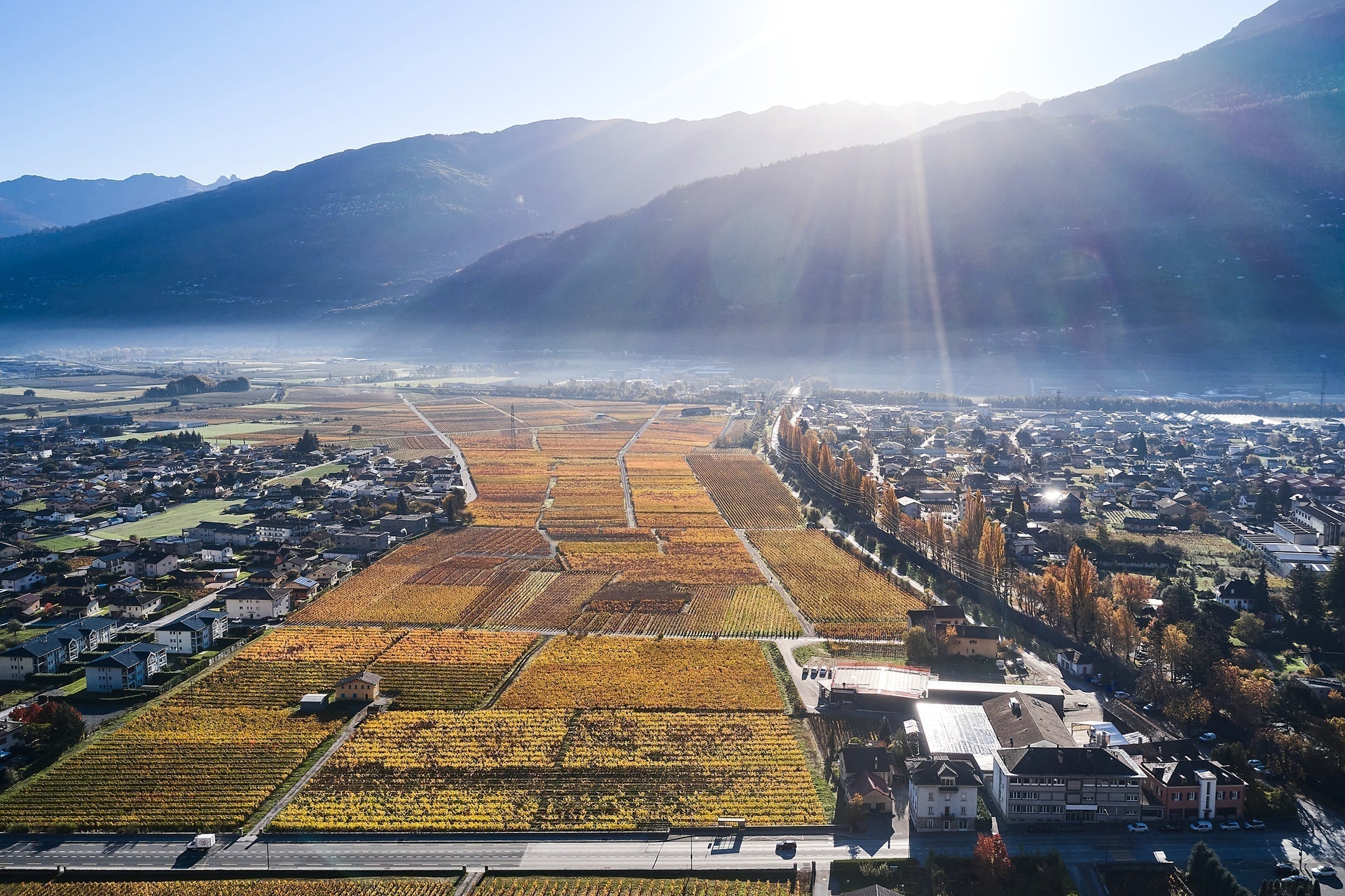 Le GALLY et son histoire : un vin rouge du Valais à la fois souple et généreux