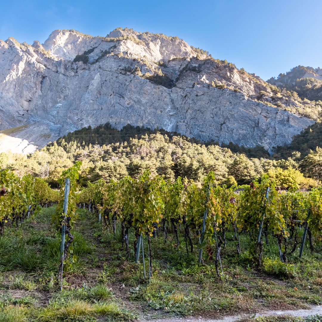 VUEGE, Val de Bagne